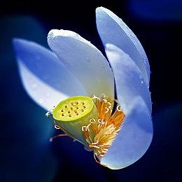 曝腾讯知名大佬加入游戏科学：曾负责推广《斗战神》